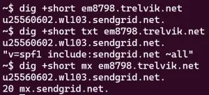 dig Sendgrid DNS records
